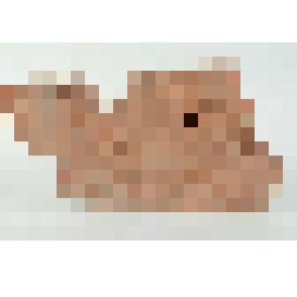 Кирпич формованный фигурный. Фрагмент