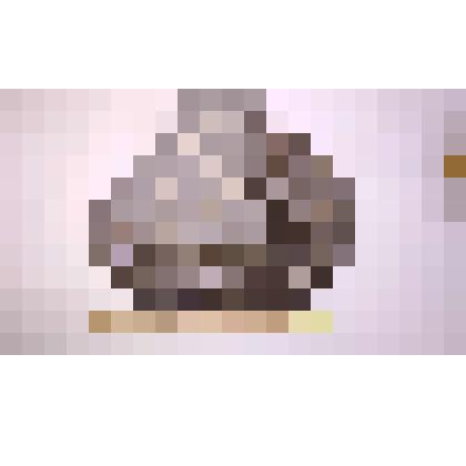 Раковина аммонита  Pseudoancyloceras sp