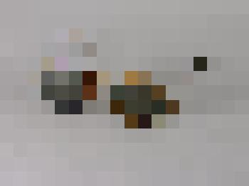 Очки Н.К. Рериха