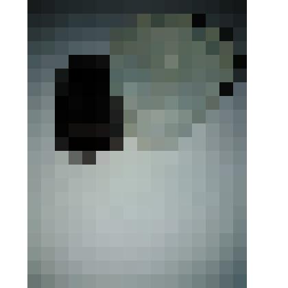 Диафильм "Серебряное копытце"