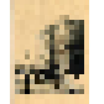 Лист. Женская гимназия. Из альбома "Виды Севастополя"