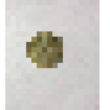 Монета. 10 копеек