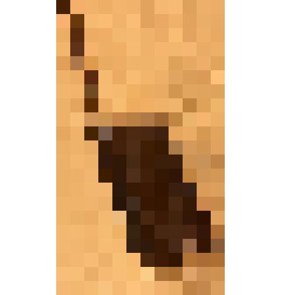 Персональная система оповещения «Вызов» № 9685 0482