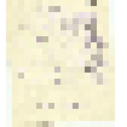 Автобиография Тихомировой Серафимы Тихоновны. Высоковск, 17.12.1942г