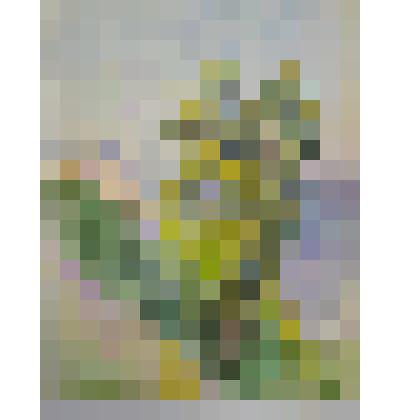 акварель. Без названия, из коллекции акварели