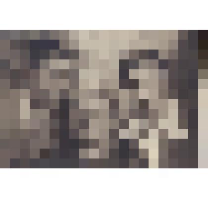 Фотография. Кунина Е.И., Кассиль В.Л., Кассиль Д.Л