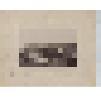 Фотография. Панорама загородного хозяйственно-жилого комплекса [Заимка И.Л. Фуксмана на Степановке]