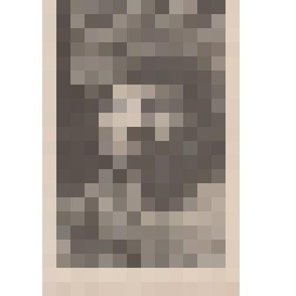 Фотография. Тяпкин Николай Сергеевич