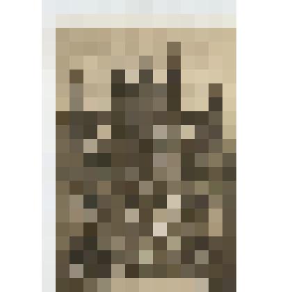 Открытка.Северный вход в Вестменстерское аббатство  Изд. фотомастерской Валентина