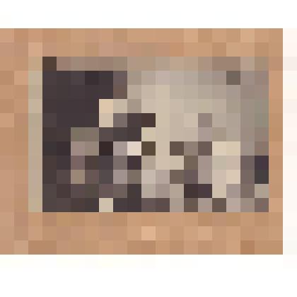 Фотопозитив. Серухин Д.Я. и Жмудов Н.А., моряки с парохода «Смидович» на приёме главного врача санатория № 4