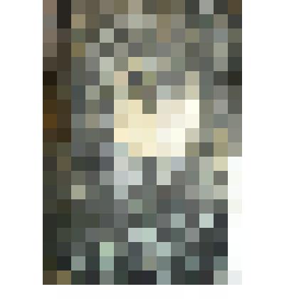 Книга. Устав о предупреждении и пресечении преступлений