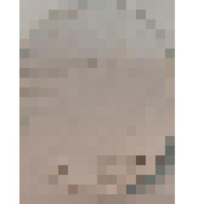 Этикетка. Пиво «Балтика-4»