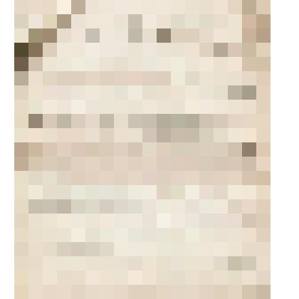 Телеграмма № 252 в г. Ирбит В.Н.Алину от Саитбаталова из г. Мензелинска, 15.02.1908 г