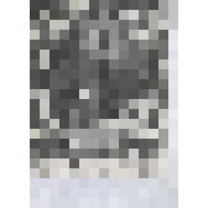 Портрет аббата Миля