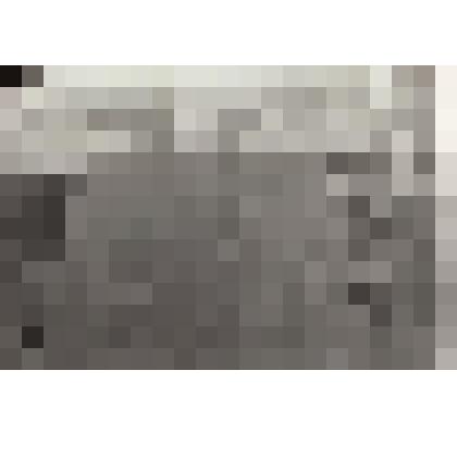 Фотография видовая. Мемориальная плита на воинском захоронении в с. Иосифовка Житомирской области. В братской могиле похоронены Савельев Александр Григорьевич и Смирнов Василий Иванович - участники ВОВ, уроженцы Сорокинского района Алтайского края