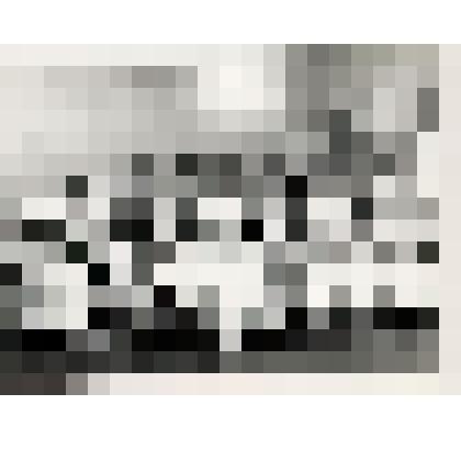 Фотография черно-белая групповая. Сотрудники санатория "Ливадия"  в Музыкальном Салоне Ливадийского дворца