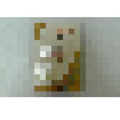 Книга «История Арского края»