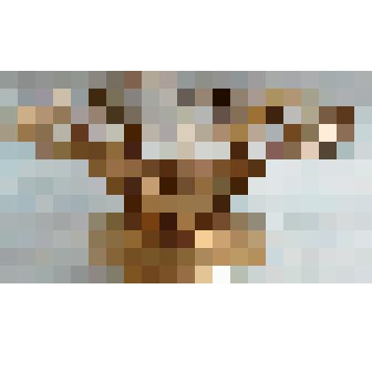 Ваза для фруктов