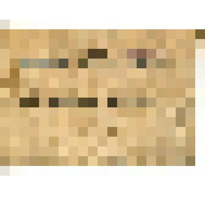 Зачетная  книжка  № 42231   Морозова В.Ф