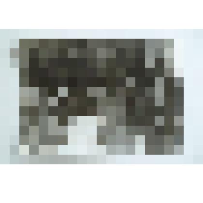 Динамическая фотография