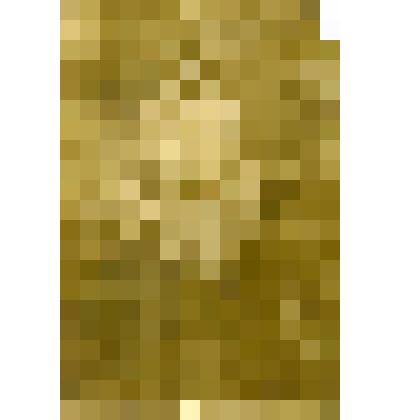 Фотография. К.С. Чижова, жительница села Дьяковского