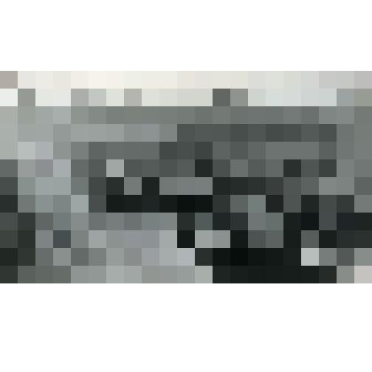 Фотография. Уборка урожая кукурузы