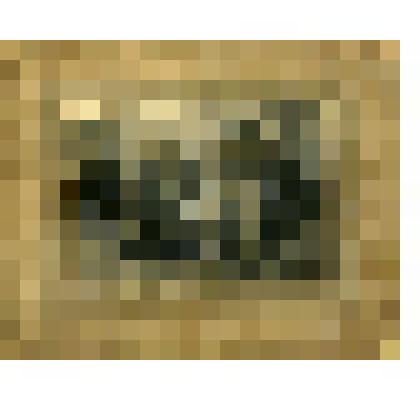 Фотография. Представители коммун Клинского уезда, деревень Лысино, Вороново, Носово