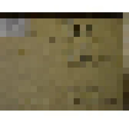 «Баня». Картина