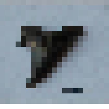 Зуб акулы темно-серого цвета