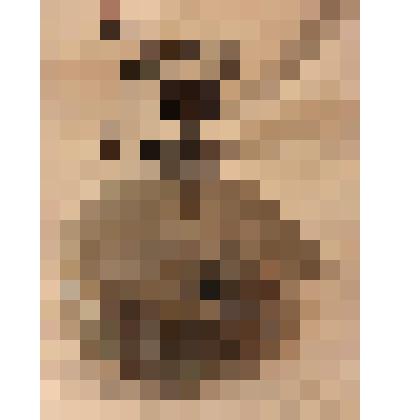 Примус "Рекорд"