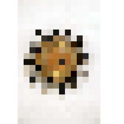 Часы настенные "Маяк"