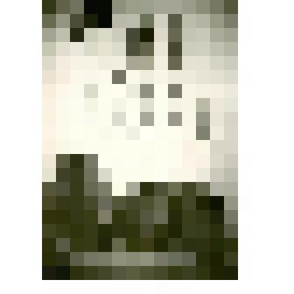 Фотография. Тунгусская упряжь