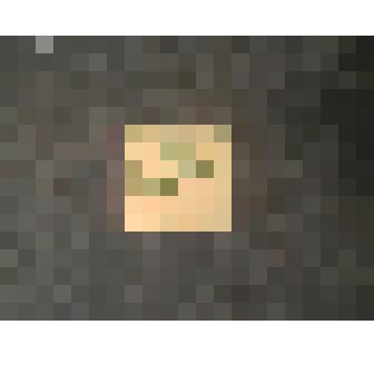 Марка почтовая светло-зелёная, ветка крыжовника. GROS-SULARIA ACICULARIUS, 15 мунгу, MONGOLIA