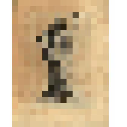 Berenice. (Статуя "Береника" (№ 37) - лист из альбома: «Recueil des statues, groupes, fontaines, termes, vases, et autres magnifiques ornaments du Chateau & Parc de Versailles.» T. I-IV. (Собрание фигур, групп, терм, фонтанов, ваз, статуй и других орнамен