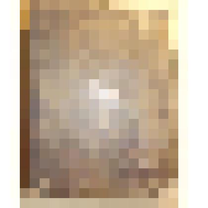 Книга. Новая Скрижаль или дополнение к преждеизданной Скрижали с таинственными объяснениями о церкви, о разделении ея, о утварях и о всех службах в ней совершаемых. Ч. 1-4. Санкт-Петербург: Тип. Императорского Воспитательного дома, 1823