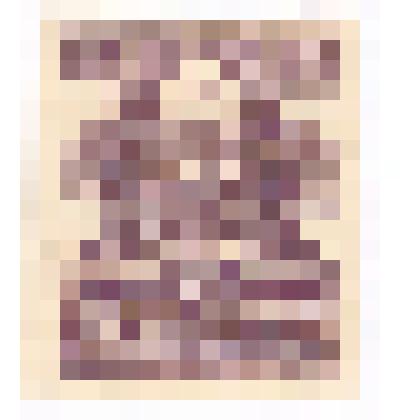 Марка СССР. Щит с текстом "РСФСР", фиолетового цвета. Номинал 250 рублей