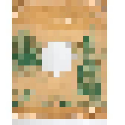 Пластинка песня «Когда поют солдаты»   