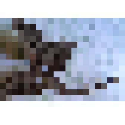 Элемент изгороди церкви