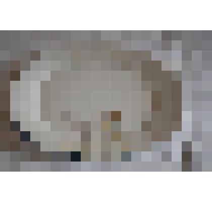 Поднос овальный с цветочками и голубой каймой