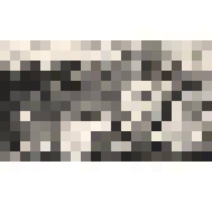 Фотонегатив "На дальних подступах к столице"