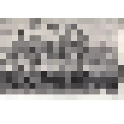 Ф/чб. Сборы 14-й ОА ПВО. В центре командующий г-л/л-т Абрамов, 2 ряд слева  - начальник ЗРВ п-к Солдатов В.Т. Новосибирск. 1973