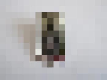 Значок "Хабаровск. Памятник борцам за власть Советов"