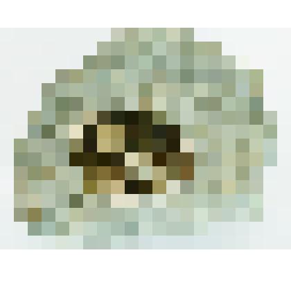 порода кимберлит