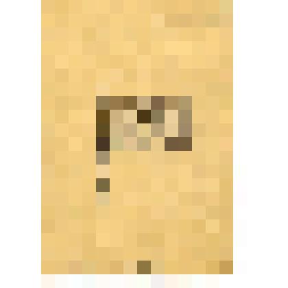 Флаг Швамбрании. Графика