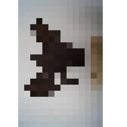 Кожаный сапог. Фрагмент