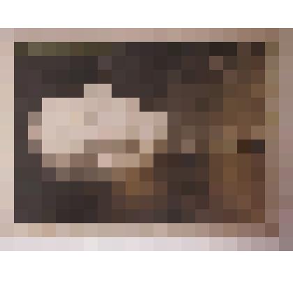 Фото: Христолюбов Михаил Константинович. По грудь, анфас. 40-е гг