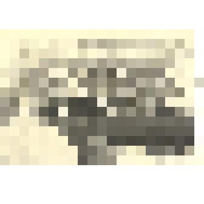 Фотография: праздник борозды по случаю окончания сева в Каменском районе Алтайского края