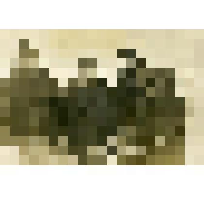 Фотография. На дрейфующей станции "Северный Полюс - 1"