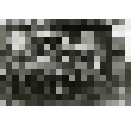 Фотография. Члены Коломенского сельсовета