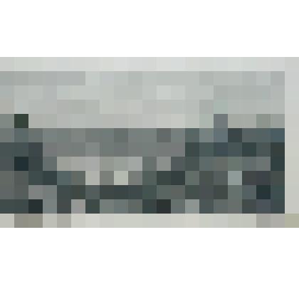 "С берегов Камы близ Елабуги". Гравюра